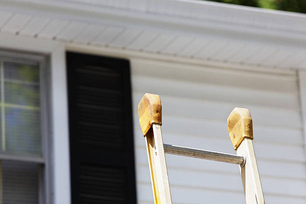 Best Insulated Siding Installation  in Union Springs, AL